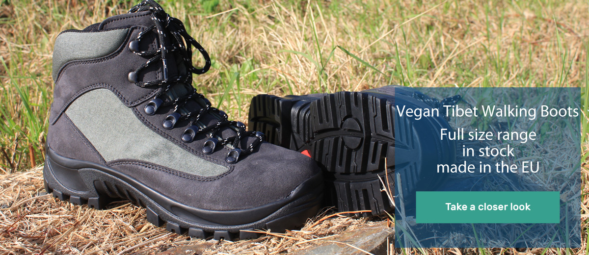 vegan wares shoes